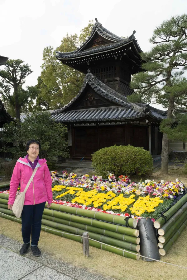 Lyn, flower bed