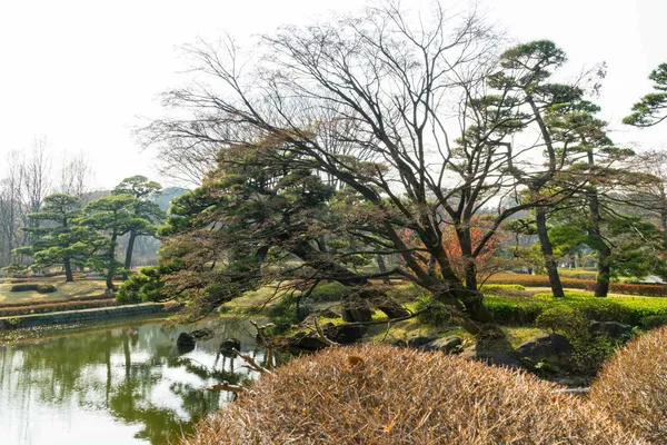 Ninomaru garden (3)