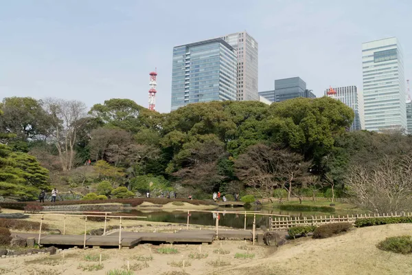 Ninomaru garden