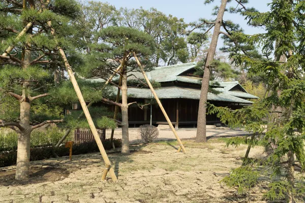 Suwano chaya tea house (1)