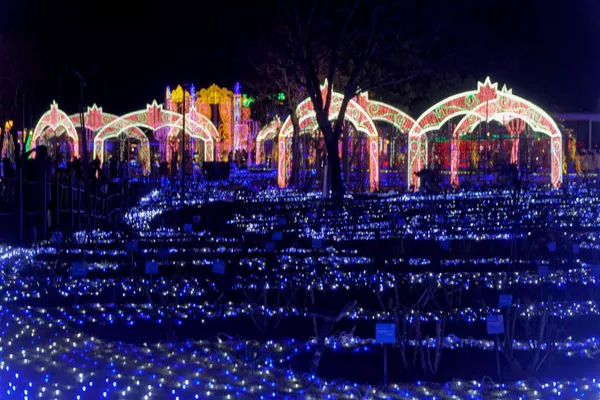 Art Garden (2)