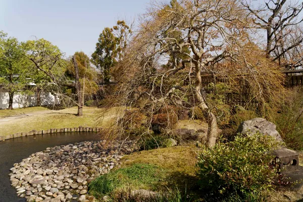 Flatly landscaped garden (4)