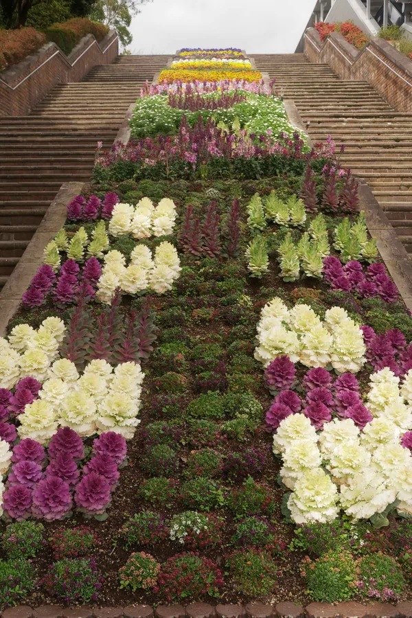 Flowers on stairs