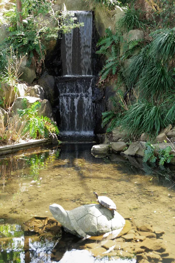 Fountain and turtle