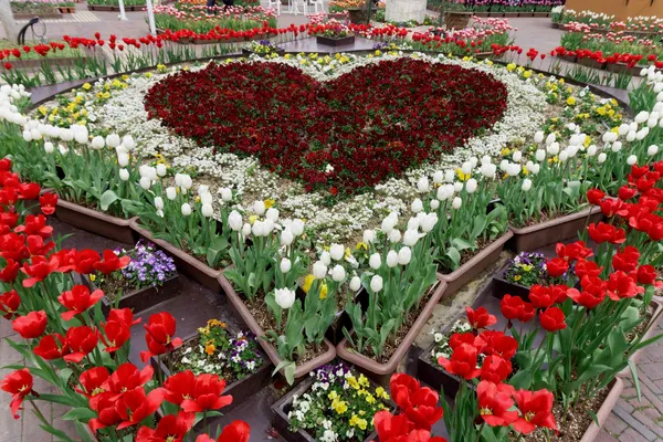 Heart flowers