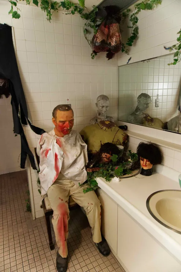 Horror toilet (3)