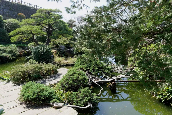 Japanese Garden (3)