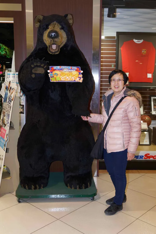 Lyn bear