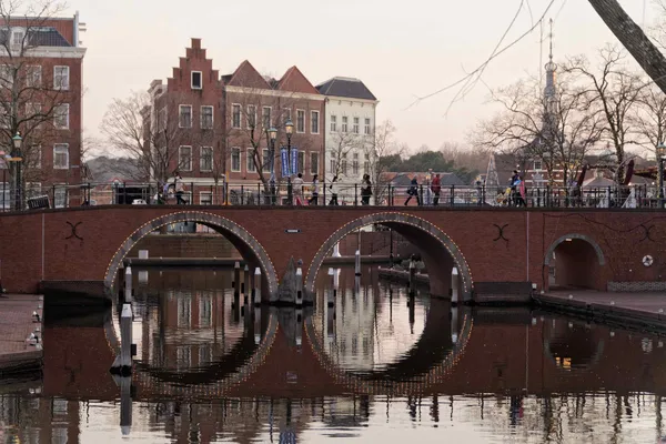 Spectacles Bridge