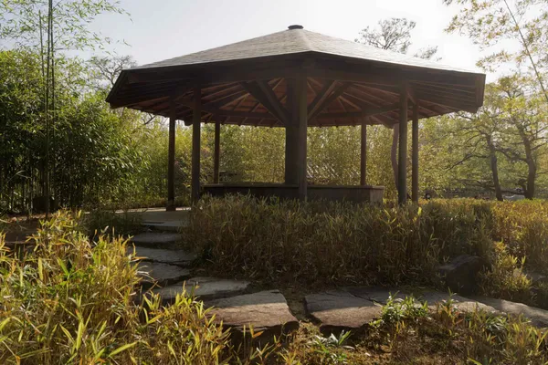 The garden of bamboo