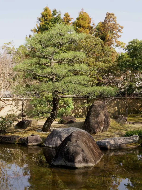 The garden with hill and pond (3)