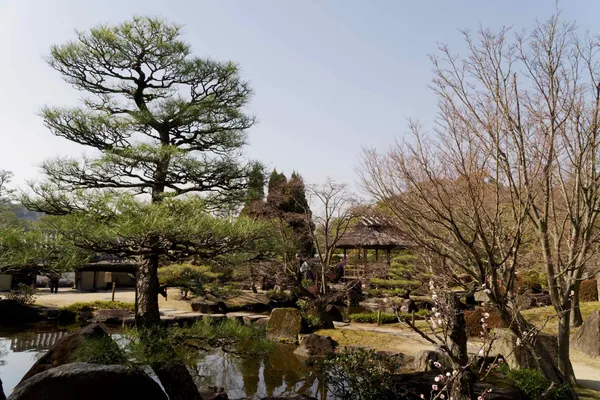 The garden with hill and pond (5)