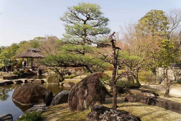 The garden with hill and pond (6)