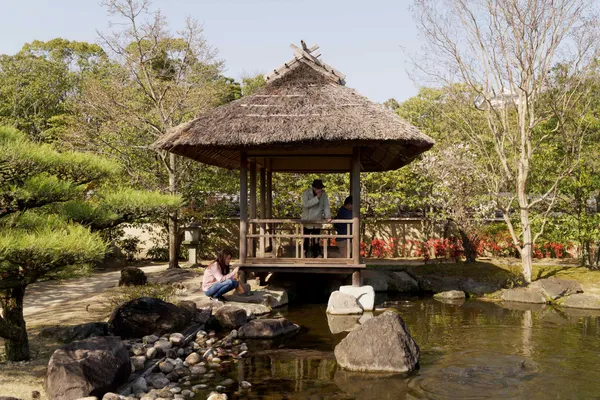 The garden with hill and pond