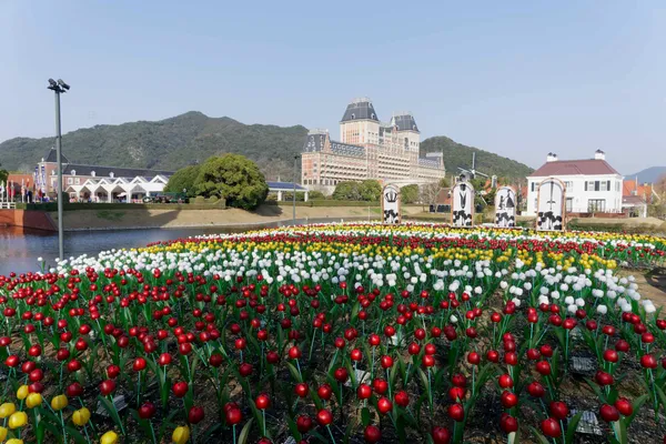 Tulips and Hotel Okura JR (1)