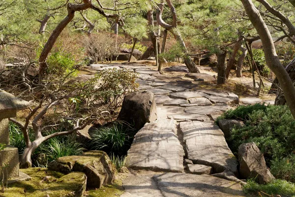 Wooden bridge