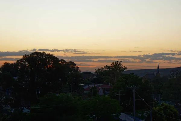 Muswellbrook (15)