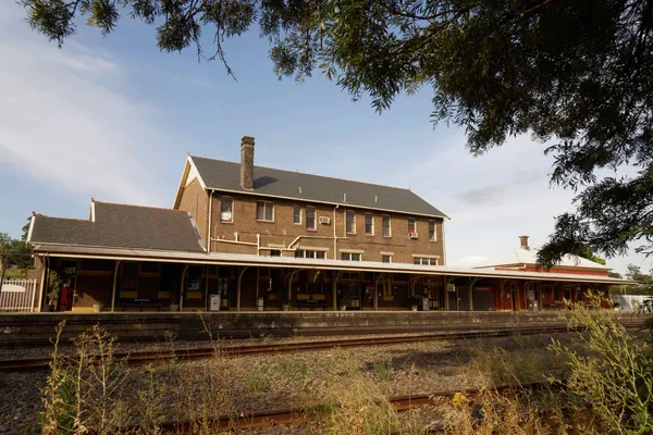 Muswellbrook (44)