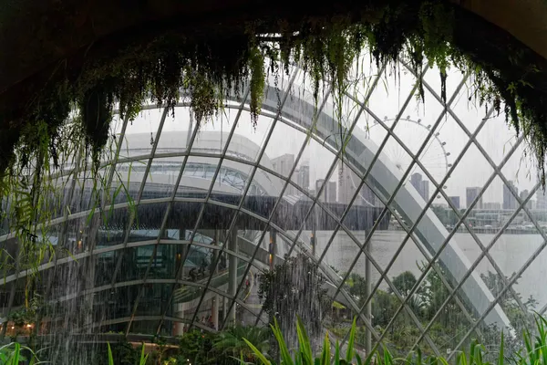 Cloud Forest (12)