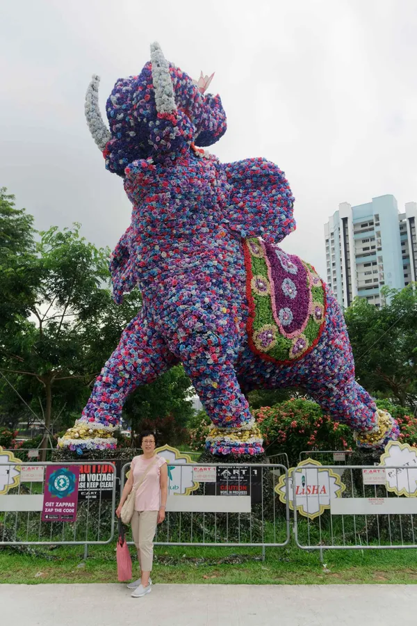 Flower Elephant, Lyn