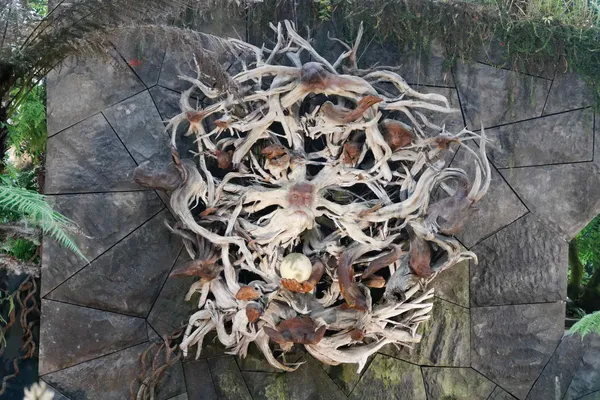 Root sculpture