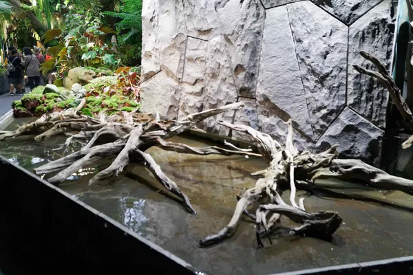 Secret Garden (4)
