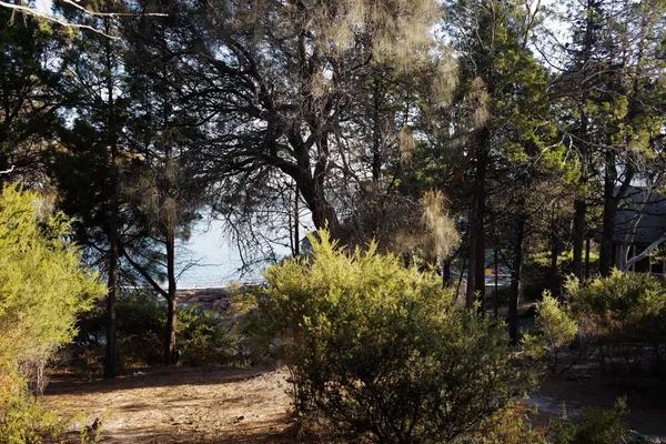 Freycinet Lodge, view from cabin