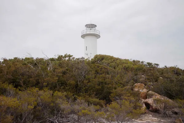 Lighthouse and bush