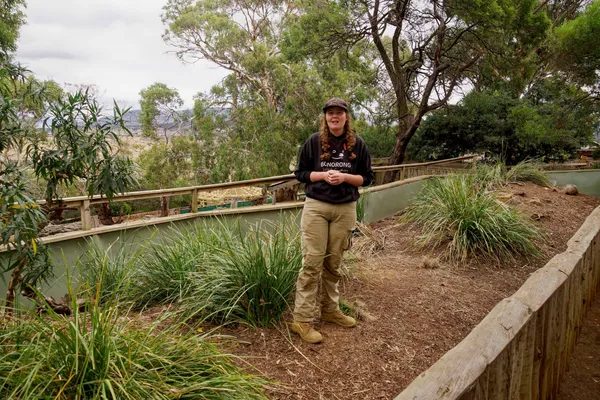 Bonorong Wildlife Sanctuary (1)