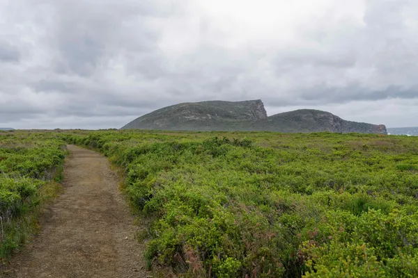 Crescent Bay walk (14)