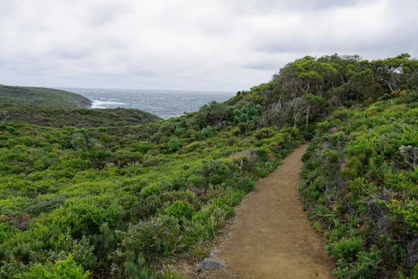 Crescent Bay walk