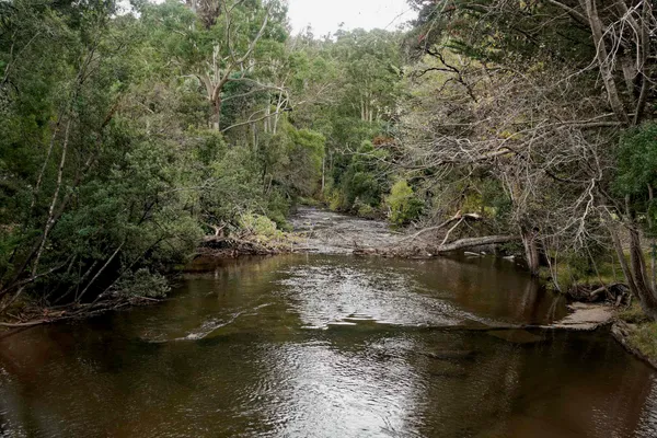 Derwent river (3)