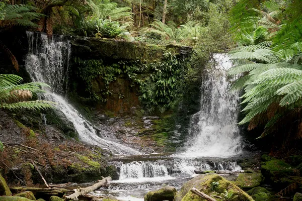 Horseshoe Falls (1)