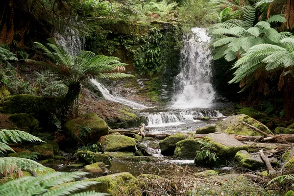 Horseshoe Falls (5)