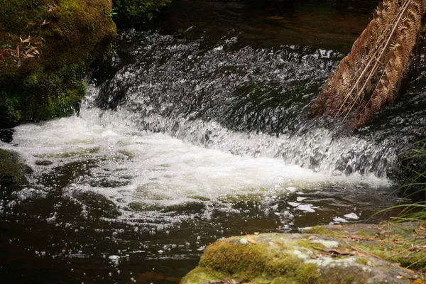 Horseshoe Falls