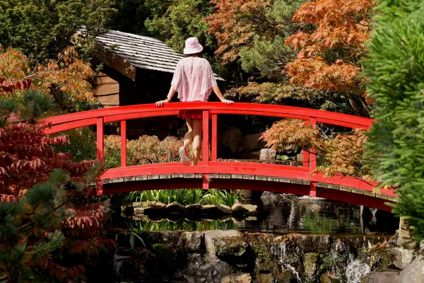 Japanese garden (16)