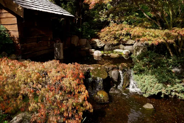 Japanese garden (20)