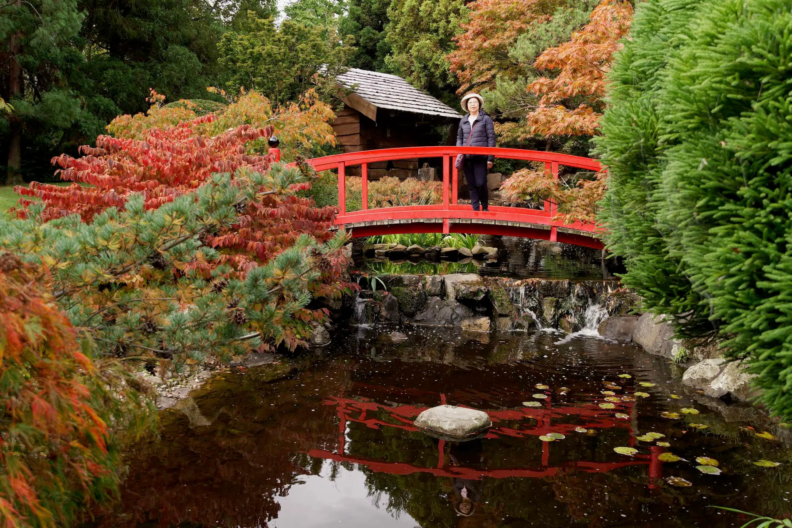 Japanese Garden