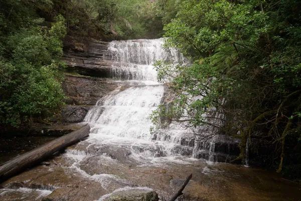 Lady Barron Falls