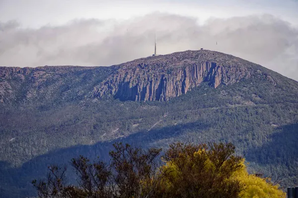 Mt Wellington