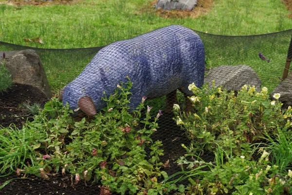 Port Arthur Lavender Farm (1)