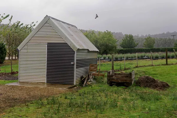 Port Arthur Lavender Farm (15)