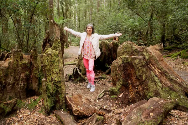 Stump (6)