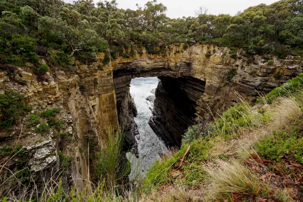 Tasman Arch