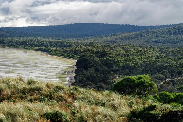 Truganini Lookout (10)