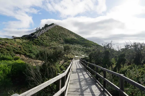 Truganini Lookout (17)