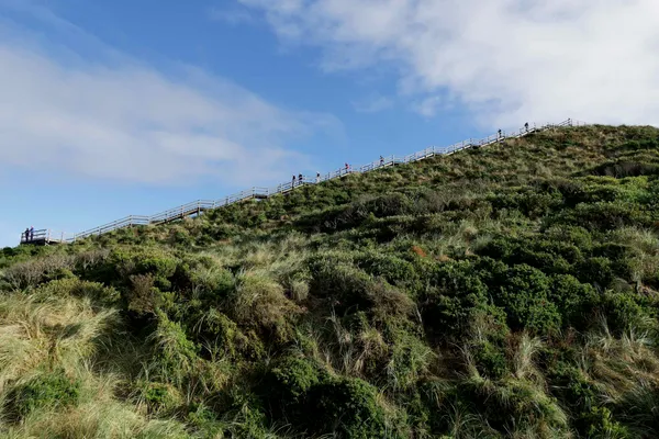 Truganini Lookout (18)