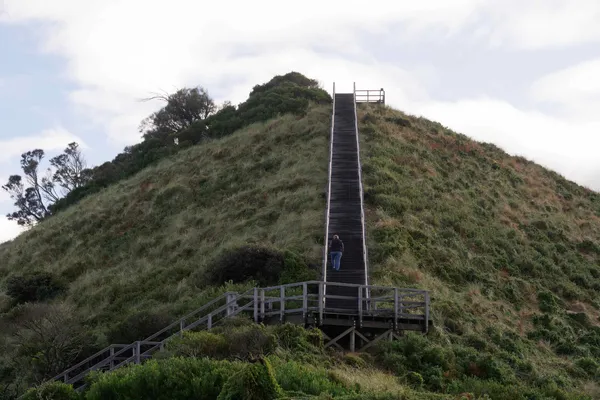 Truganini Lookout (24)