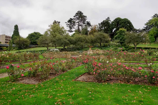 University Rose Gardens (17)