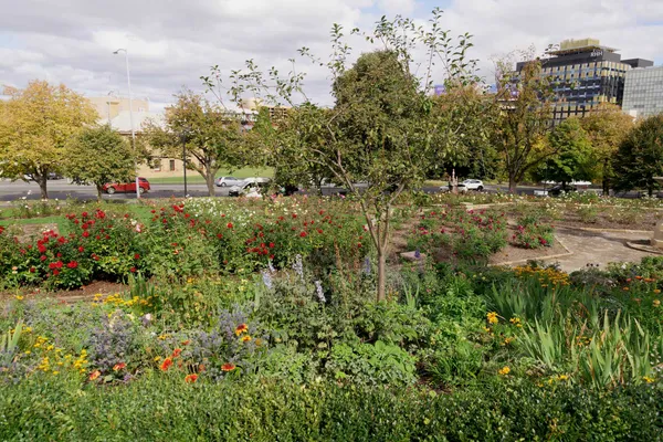 University Rose Gardens (20)